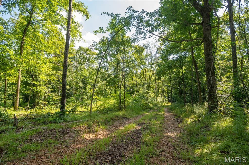 17340 County Road 252 Property Photo 41