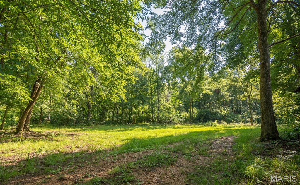17340 County Road 252 Property Photo 43