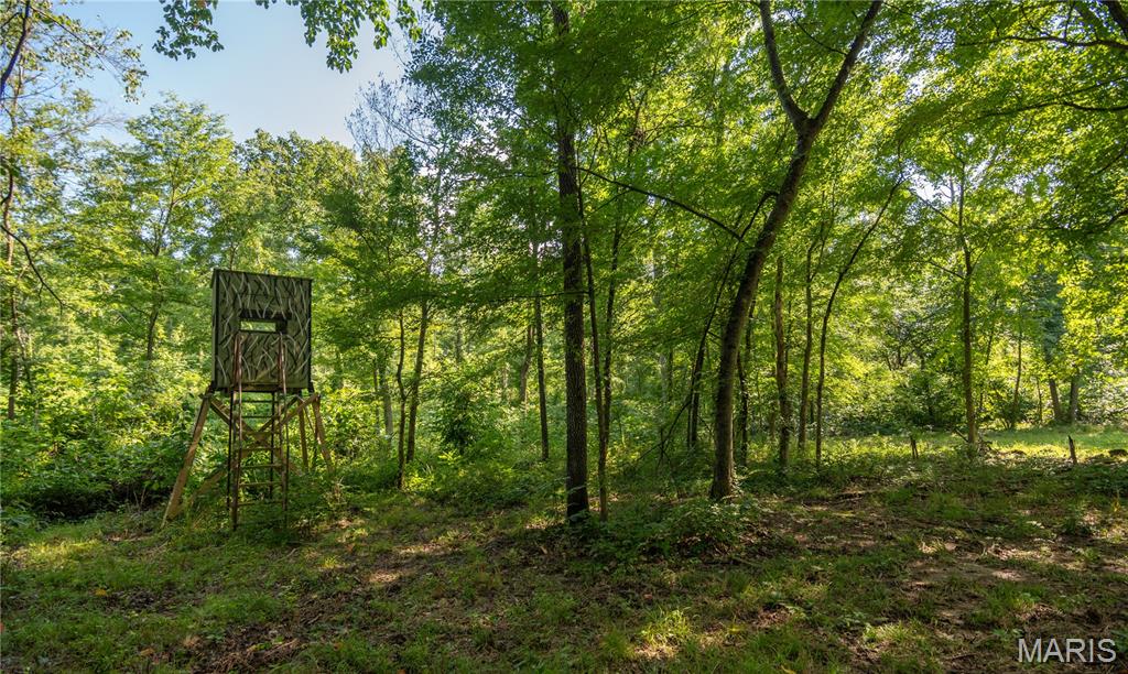 17340 County Road 252 Property Photo 44