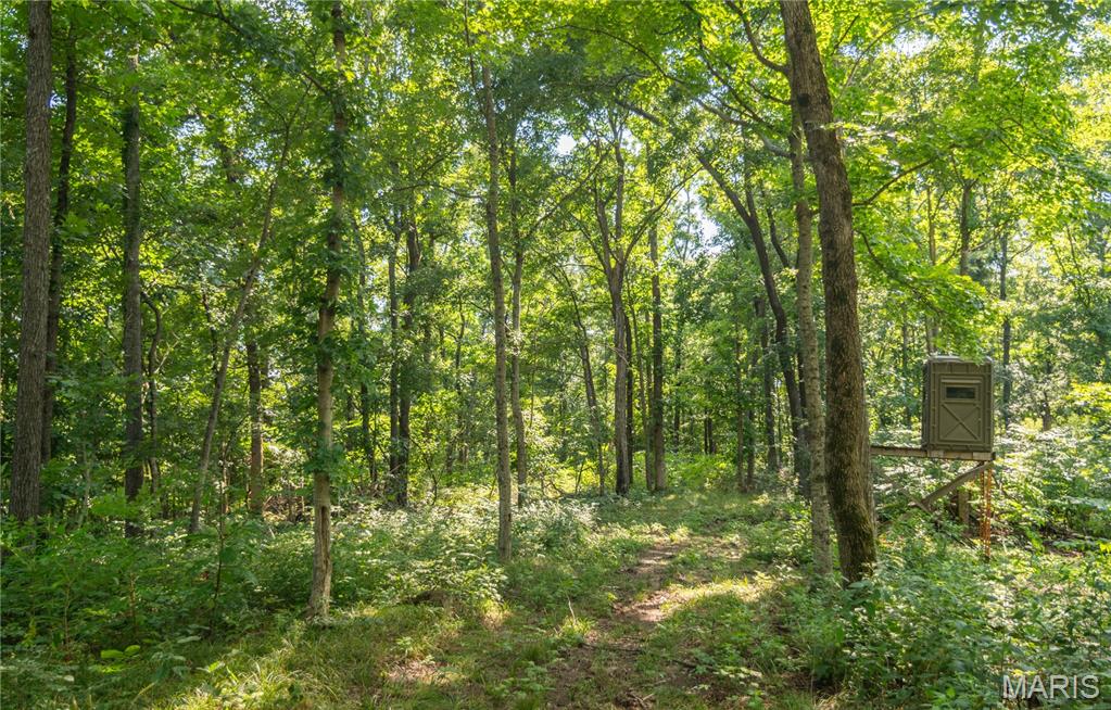 17340 County Road 252 Property Photo 46