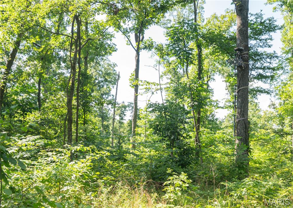 17340 County Road 252 Property Photo 47