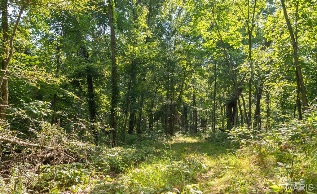17340 County Road 252 Property Photo 48
