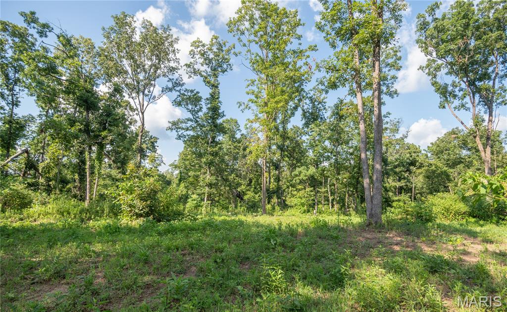 17340 County Road 252 Property Photo 49