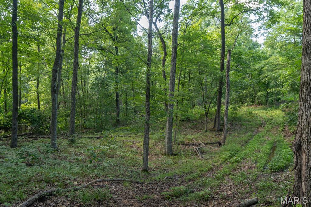 17340 County Road 252 Property Photo 55
