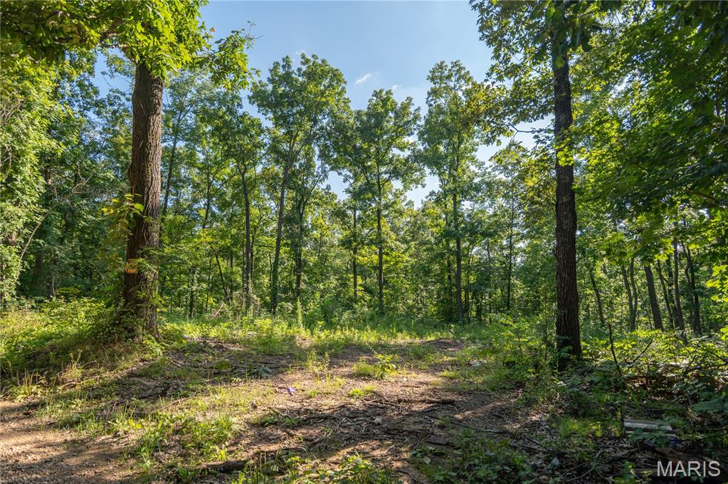 17340 County Road 252 Property Photo 58
