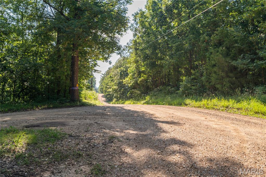 17340 County Road 252 Property Photo 59
