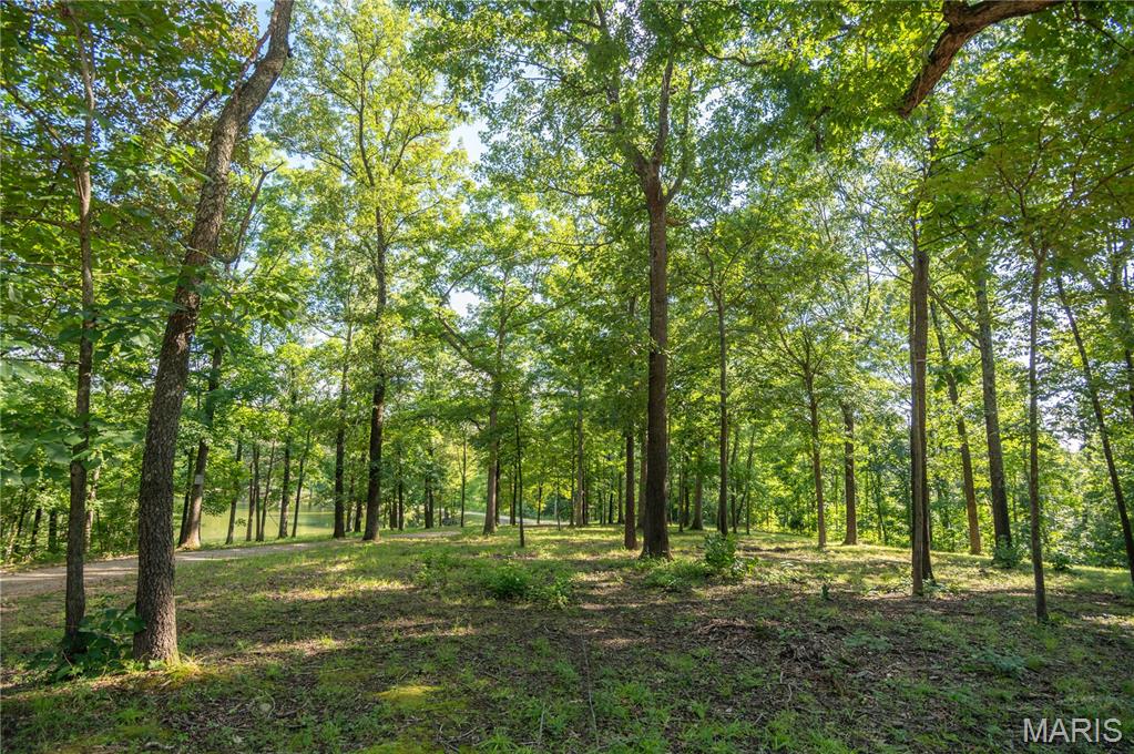 17340 County Road 252 Property Photo 61