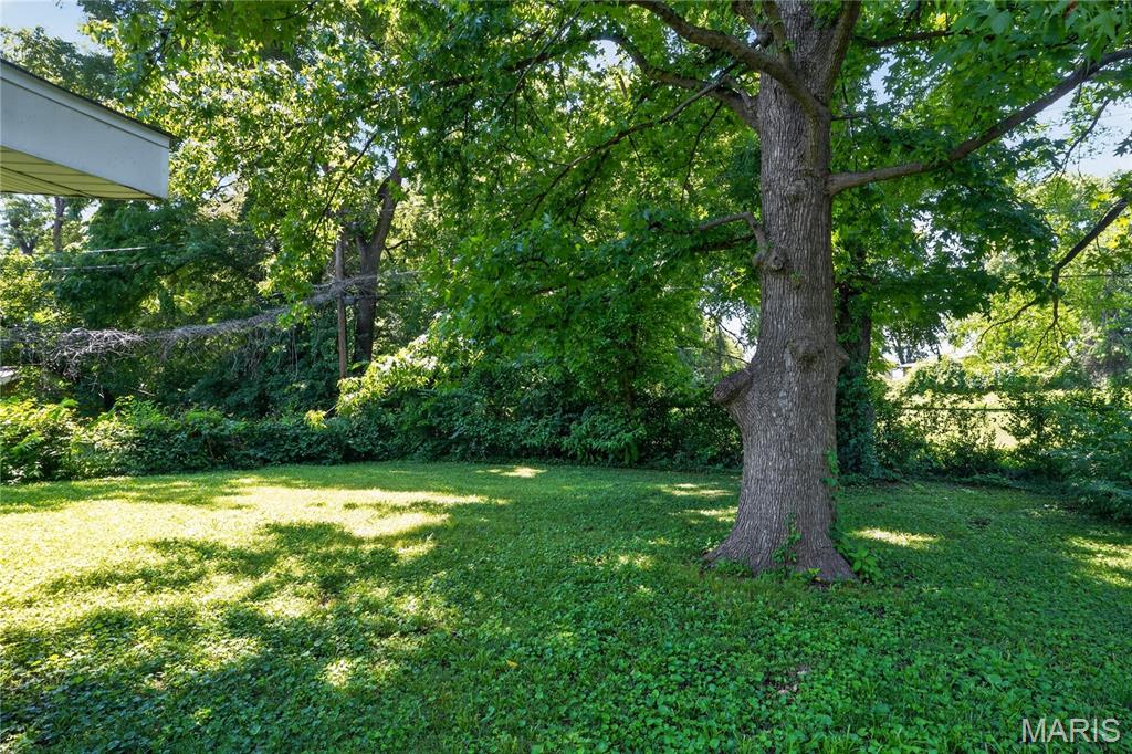 6851 Woodhurst Drive Property Photo 18
