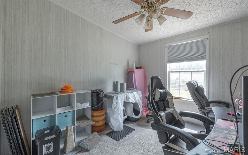 425 County Road 6400 Property Photo 18