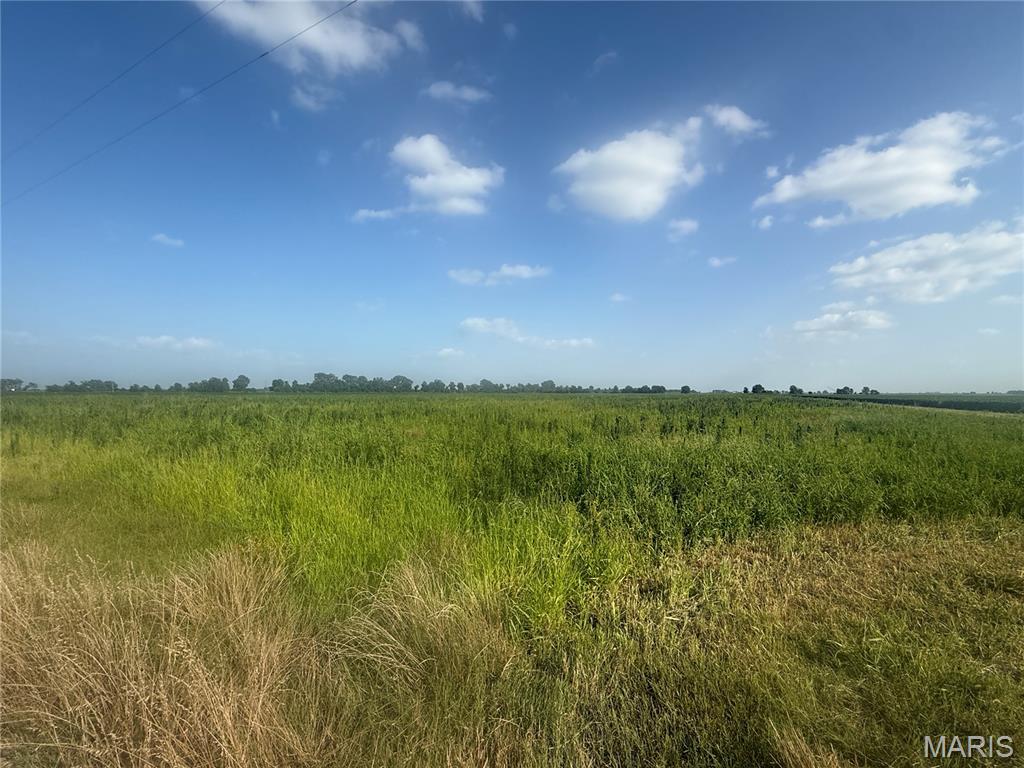 0 County Road 406 Property Photo 1