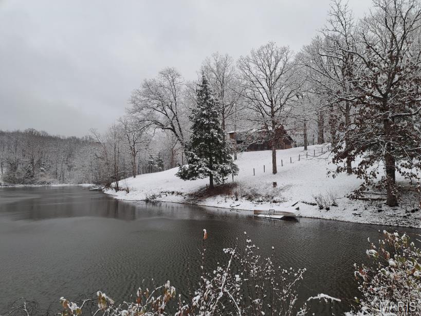 331 Scovill Lake Road Property Photo 49