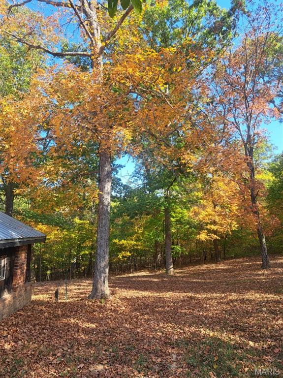 331 Scovill Lake Road Property Photo 51