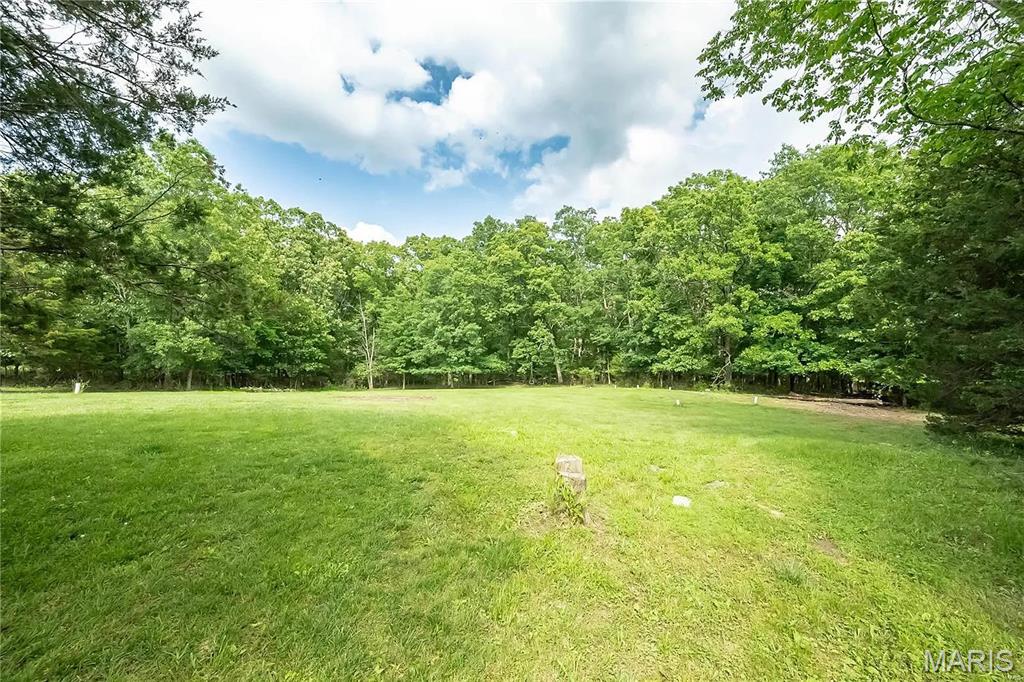 23388 Forest Haven Drive Property Photo 46