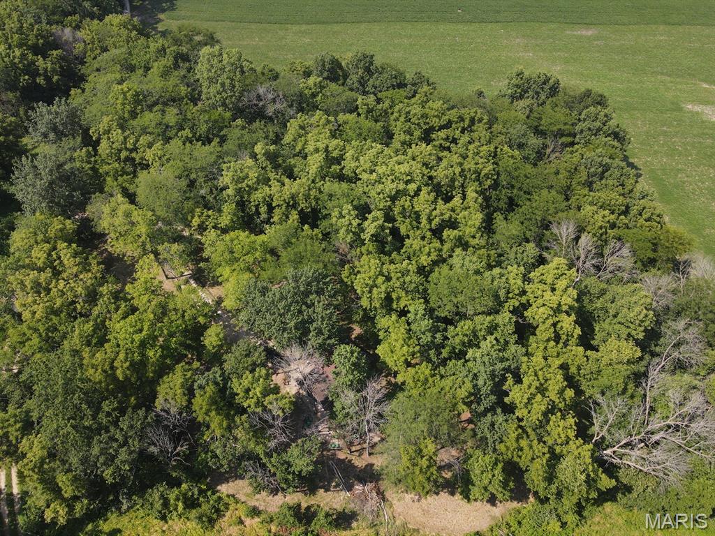 66756 Truman Loop Property Photo 45