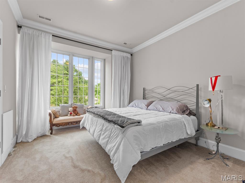 360 Laduemont Drive Property Photo 49