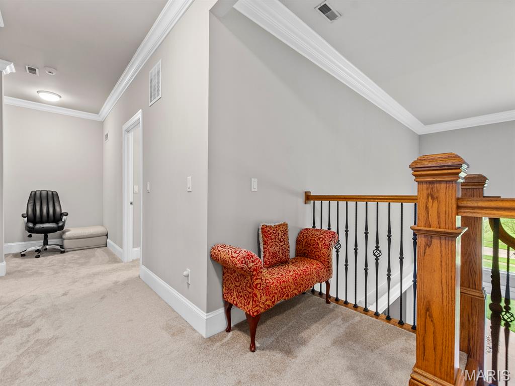 360 Laduemont Drive Property Photo 55