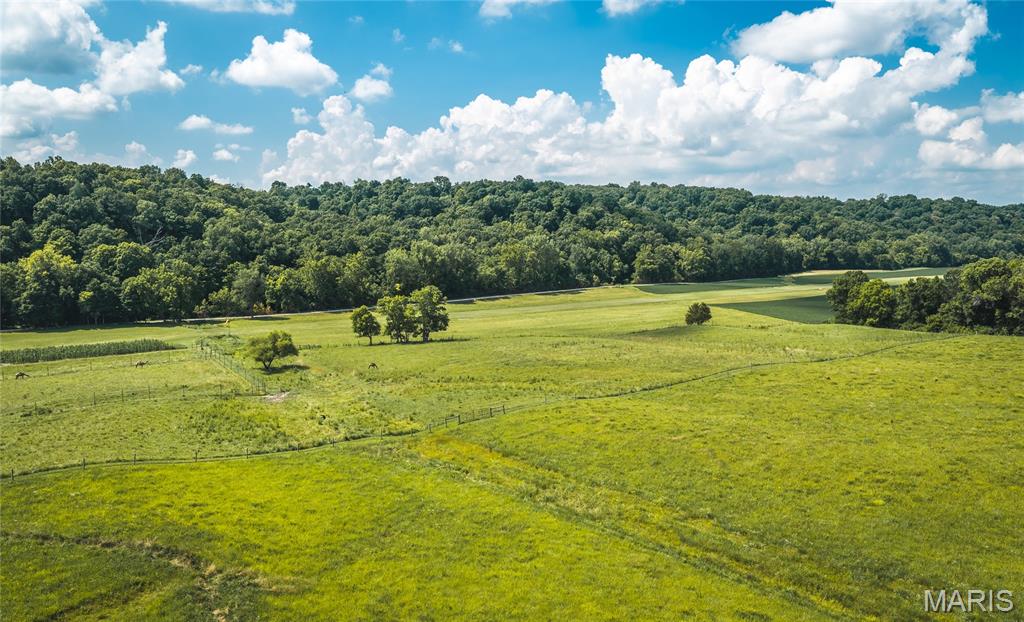 2924 Bess Hollow Road Property Photo 69