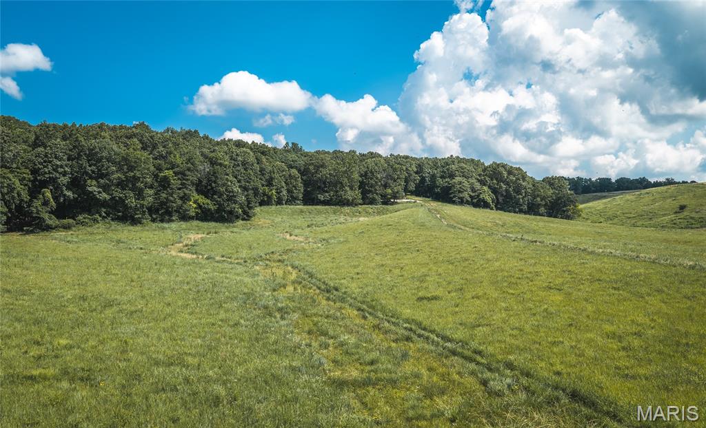 2924 Bess Hollow Road Property Photo 72