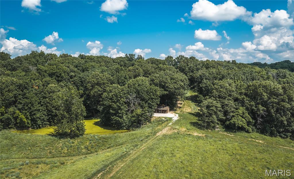 2924 Bess Hollow Road Property Photo 75