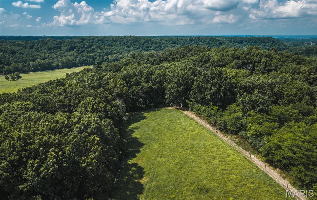 2924 Bess Hollow Road Property Photo 81
