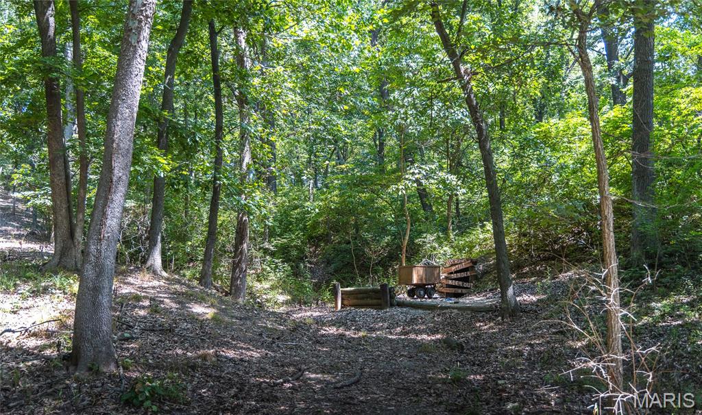 2924 Bess Hollow Road Property Photo 85