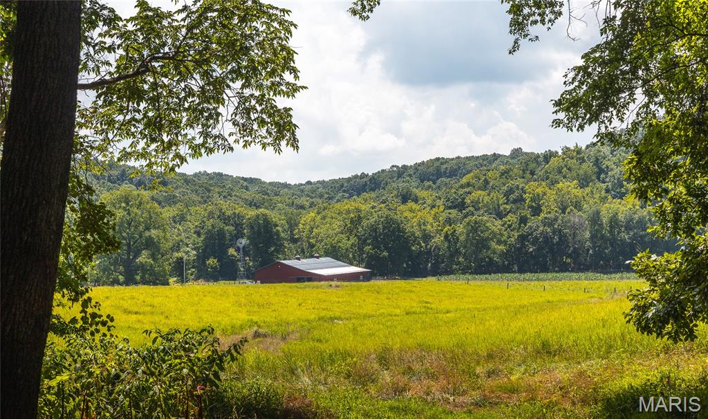 2924 Bess Hollow Road Property Photo 86