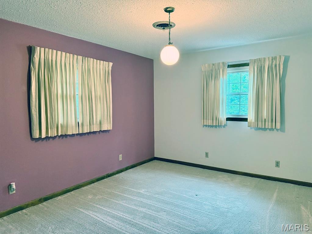 16482 Shady Mount Drive Property Photo 19