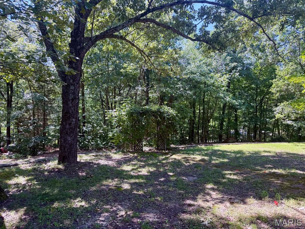 16482 Shady Mount Drive Property Photo 24