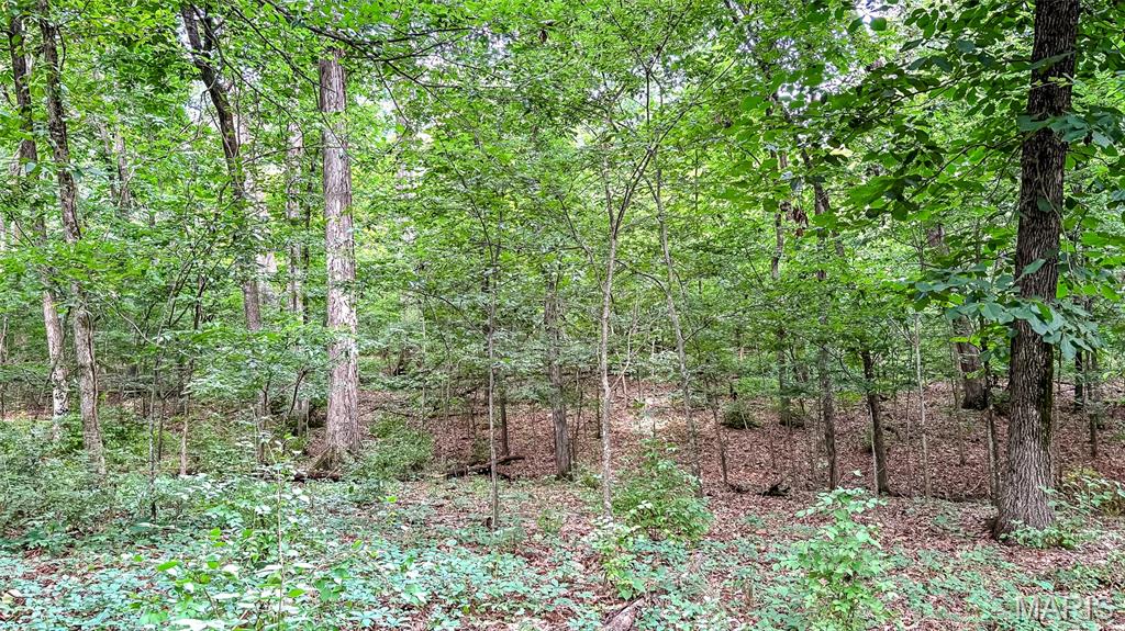 Along Wine Hill Road Property Photo 68