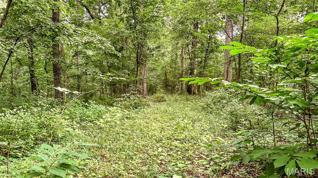 Along Wine Hill Road Property Photo 71
