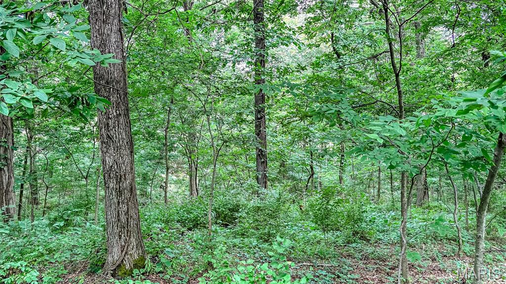 Along Wine Hill Road Property Photo 72