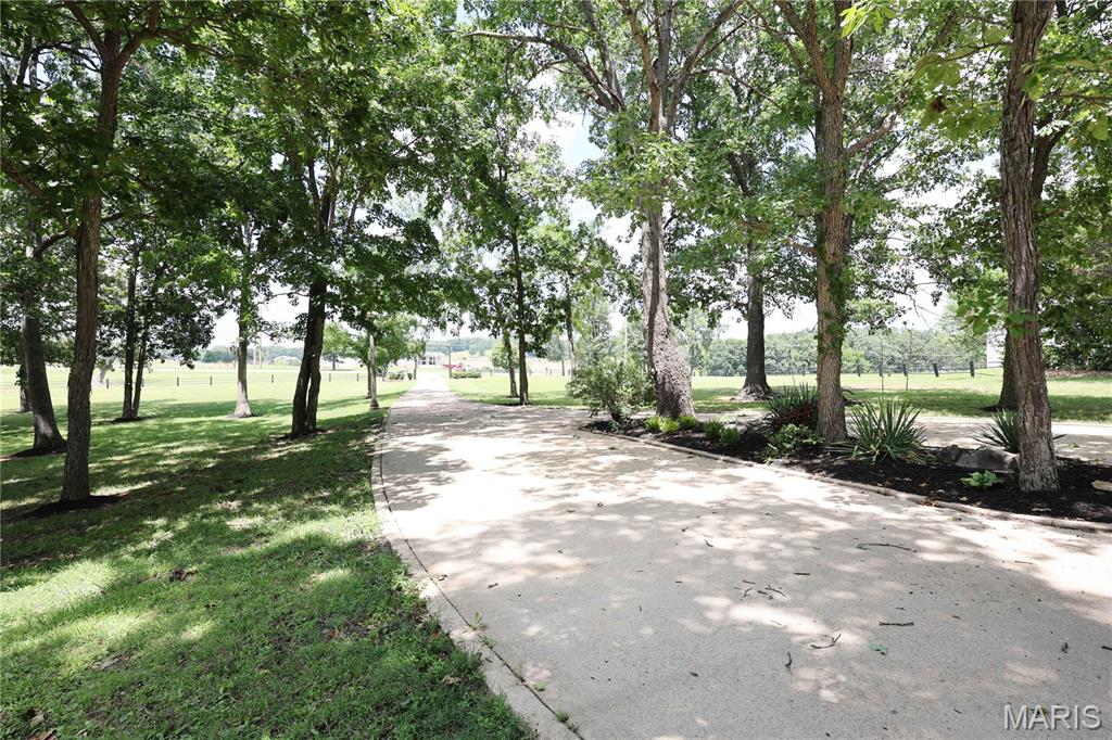 26045250 Property Photo 7