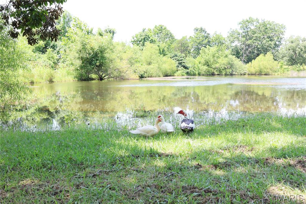 26045250 Property Photo 72