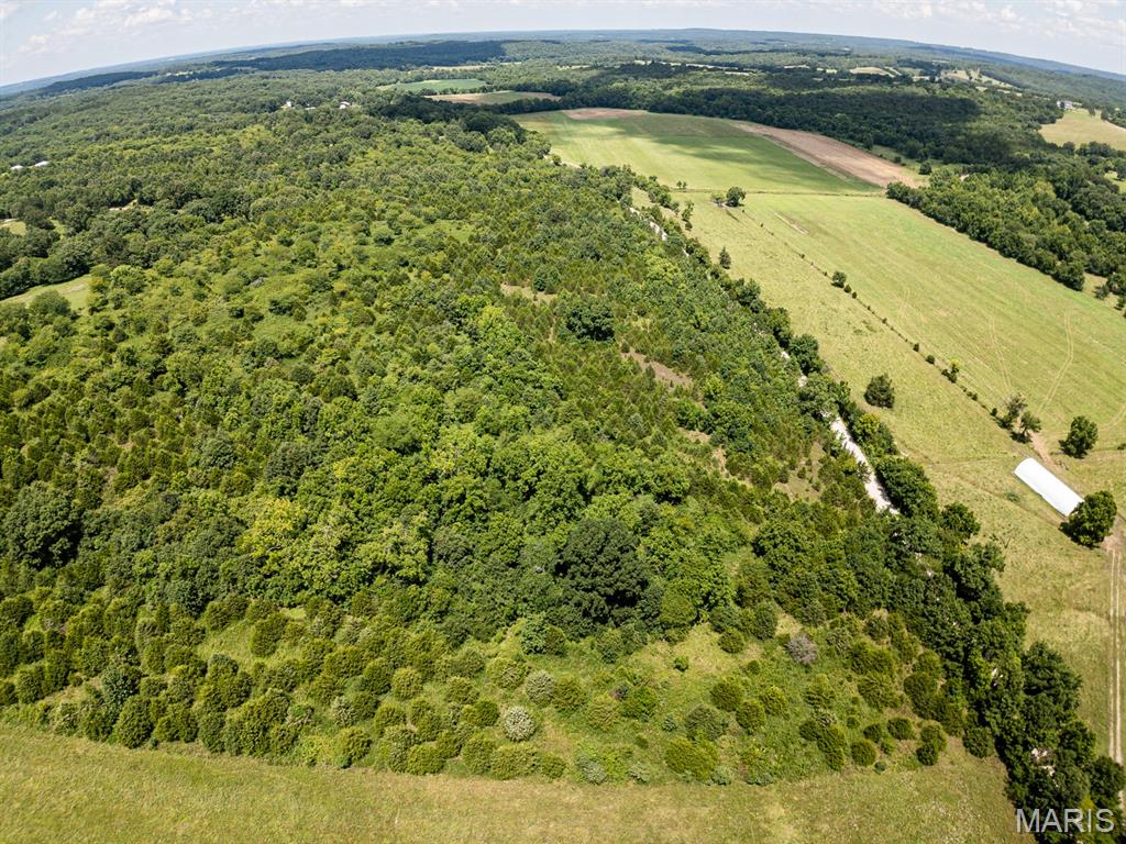 0 County Road 8410 Property Photo 4