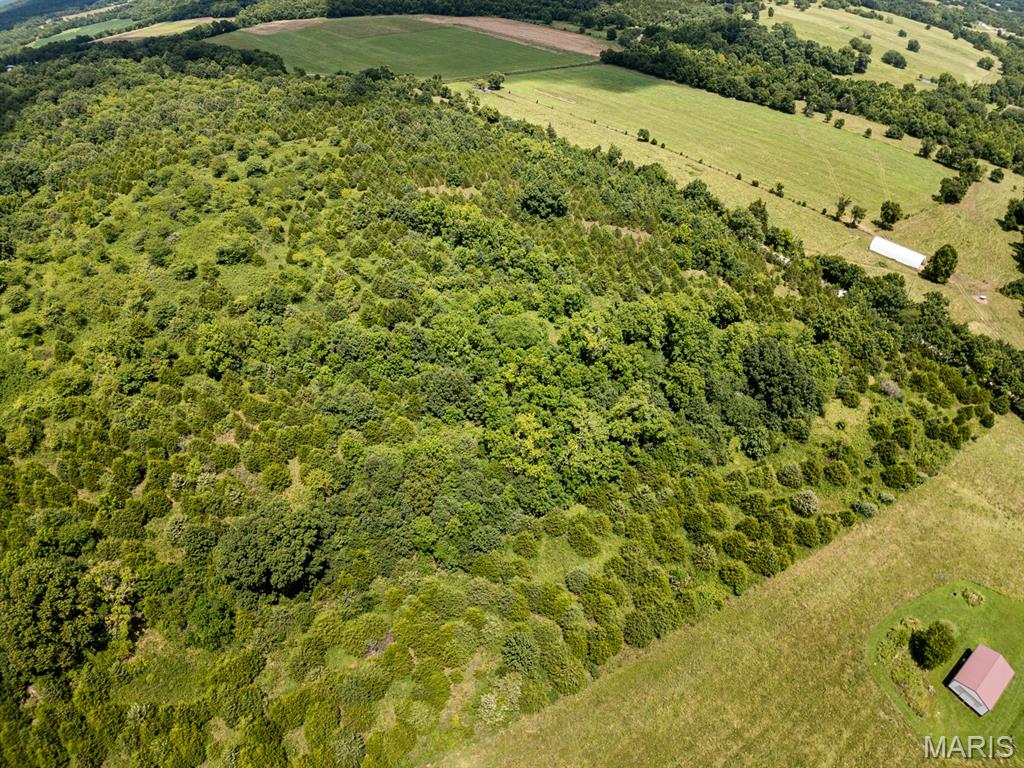 0 County Road 8410 Property Photo 5