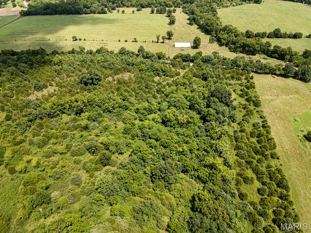0 County Road 8410 Property Photo 6