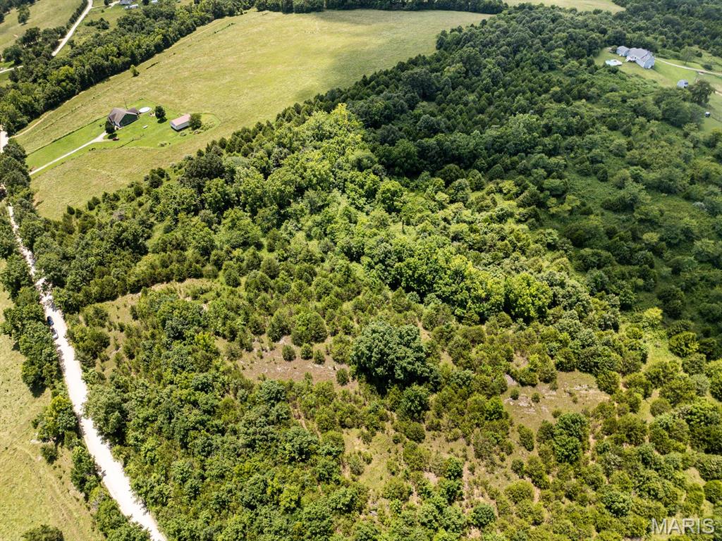 0 County Road 8410 Property Photo 9