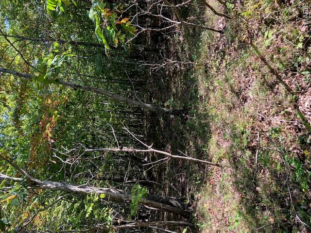 0 State Route O Property Photo 6