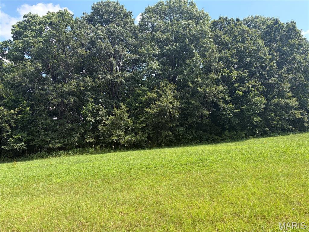 100 Summers Drive Property Photo 2