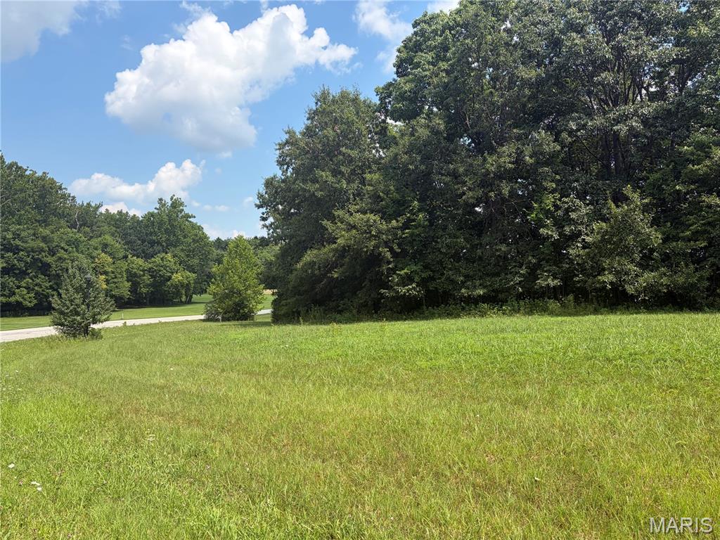 100 Summers Drive Property Photo 4