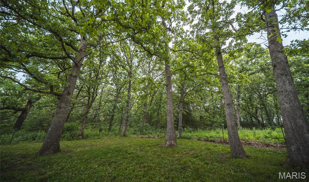 11320 County Road 2140 Property Photo 66