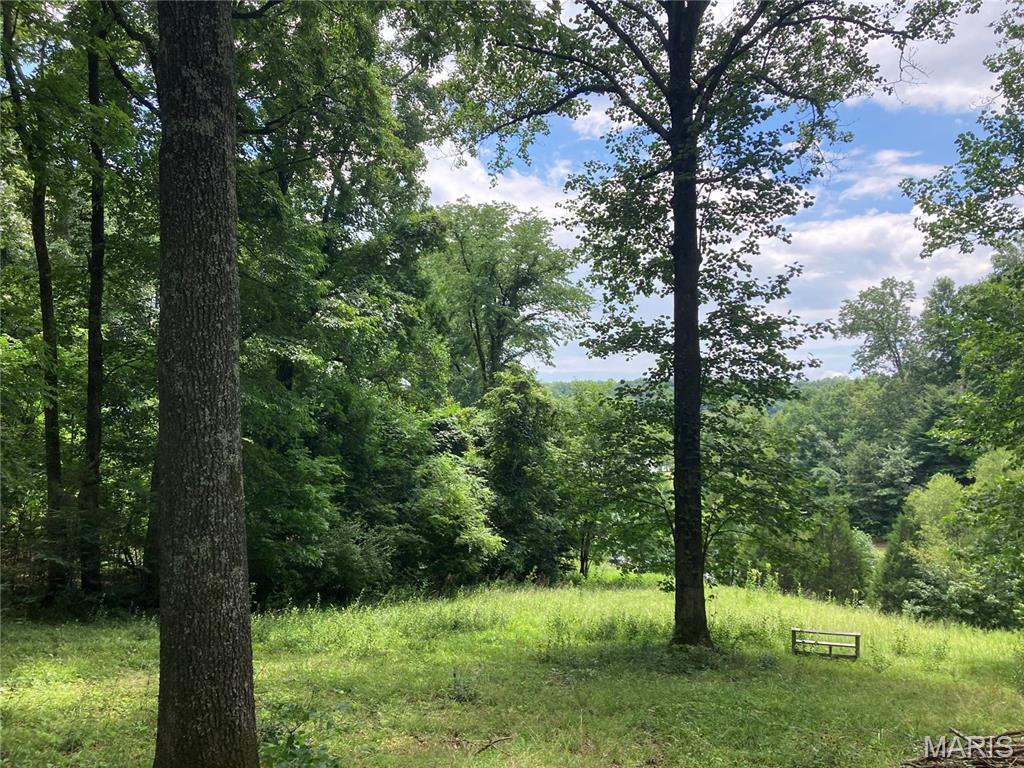 0 Scenic View Lane Property Photo 1