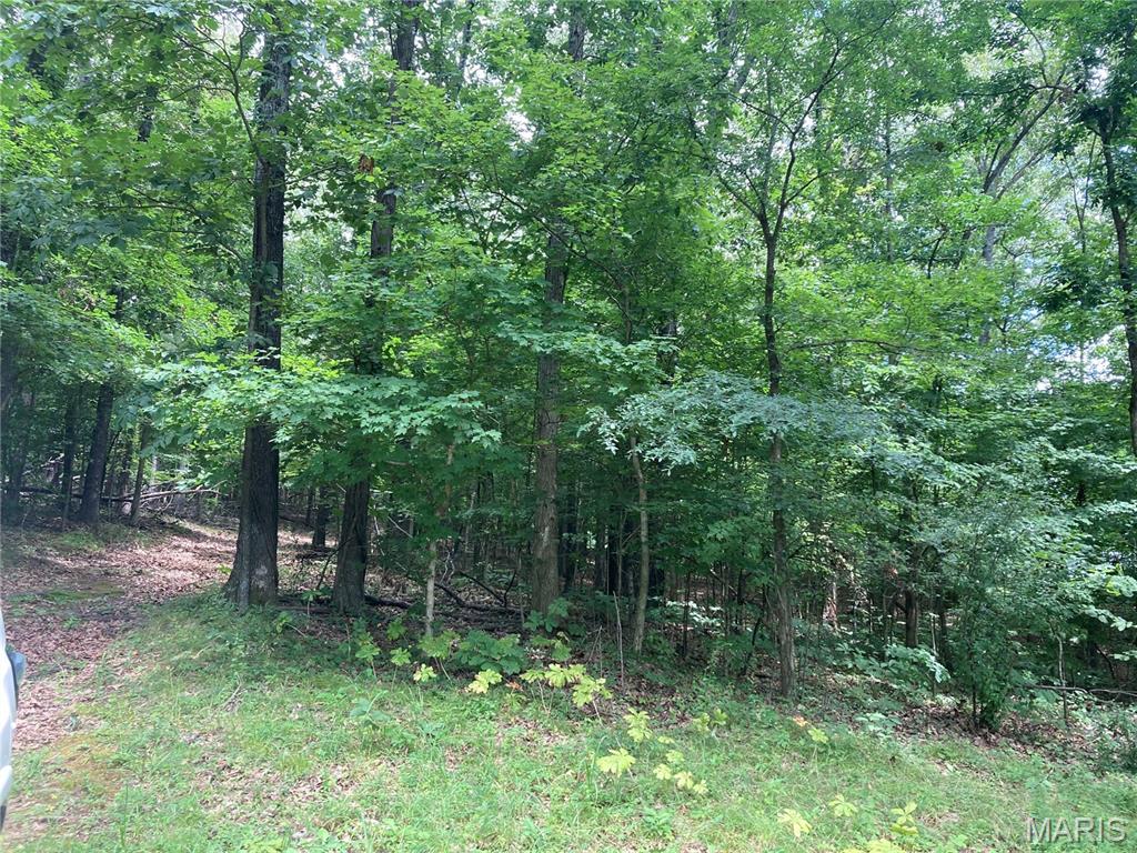 0 Scenic View Lane Property Photo 2