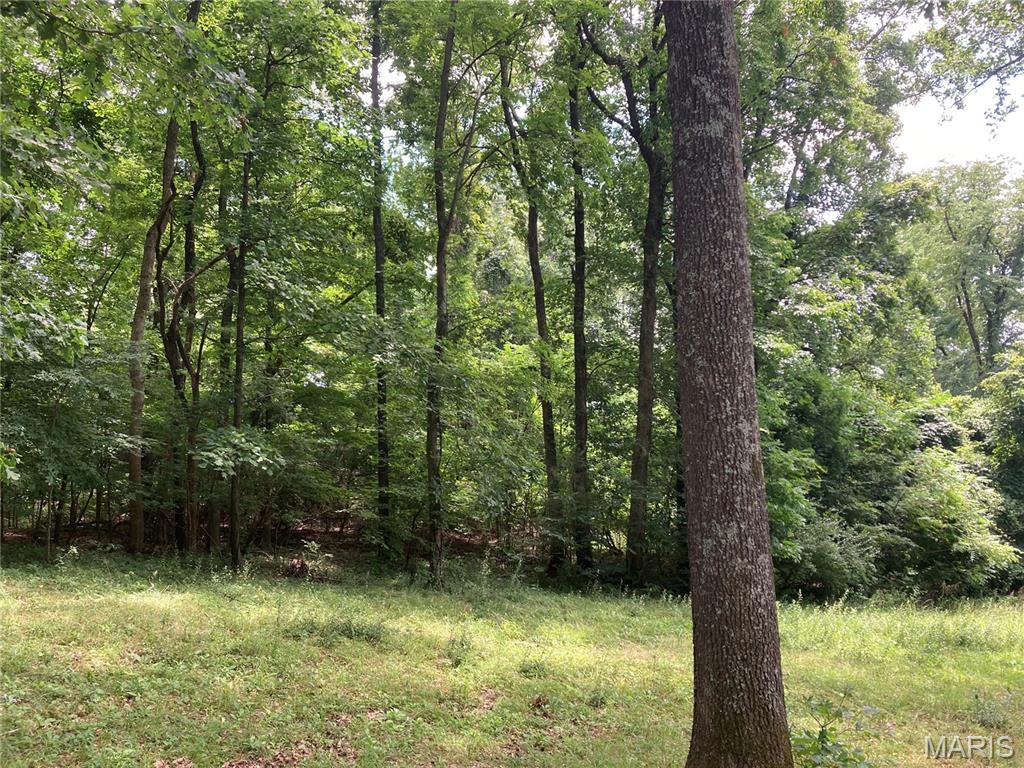 0 Scenic View Lane Property Photo 3