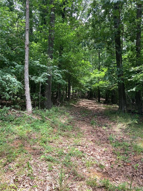 0 Scenic View Lane Property Photo 4