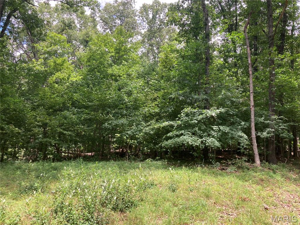 0 Scenic View Lane Property Photo 5