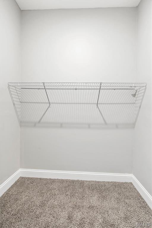 8026 Goshen Road Property Photo 32