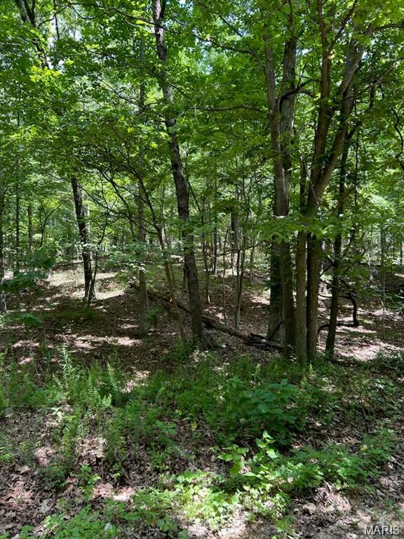 0 Hargrove Road Property Photo 1