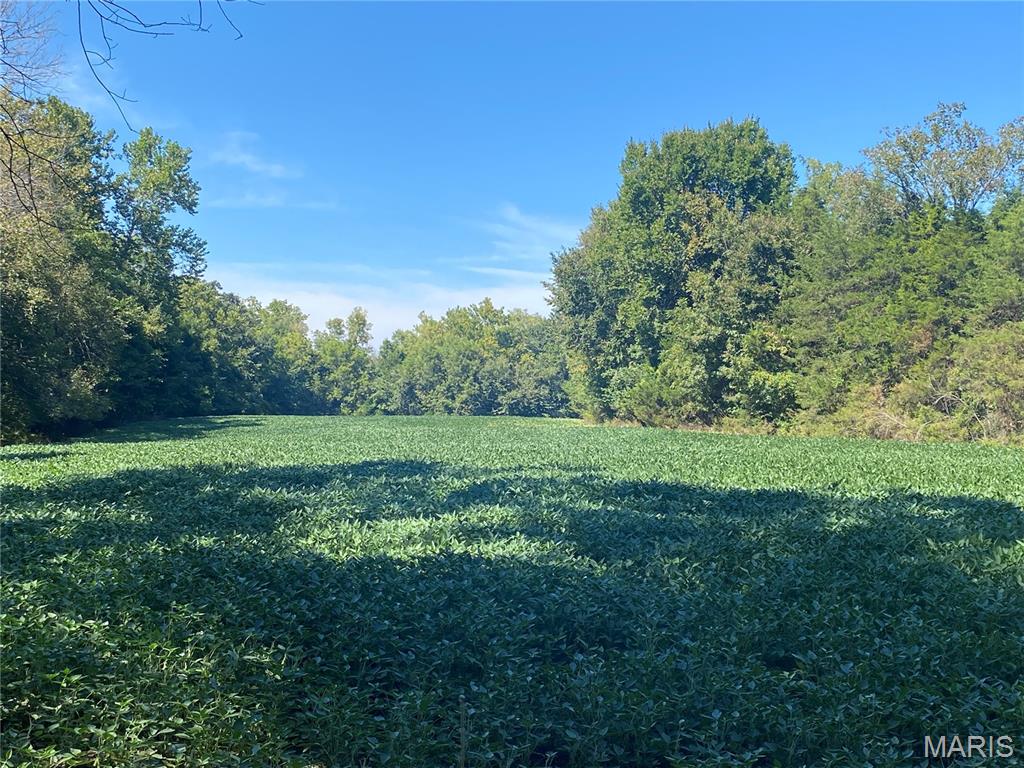 0 Highway C Property Photo 1