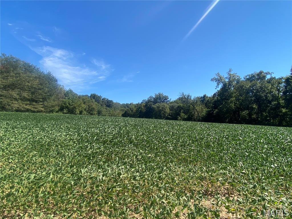 0 Highway C Property Photo 2